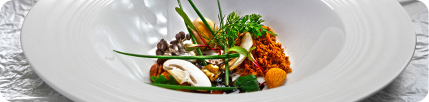 plan-gastronomico-01